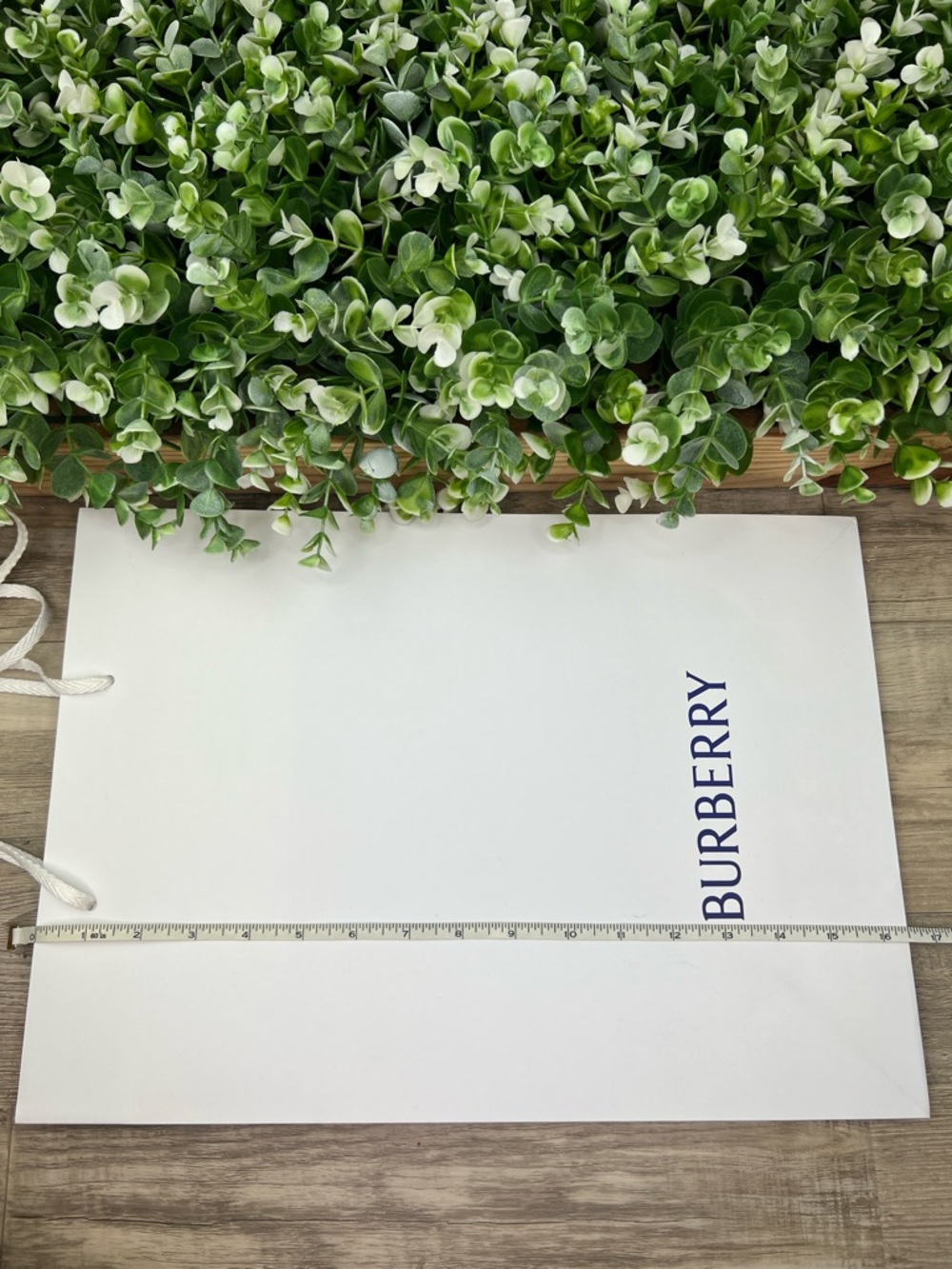 Burberry Authentic Classic Gift Bag / Shopping Bag - Picture 11 of 12